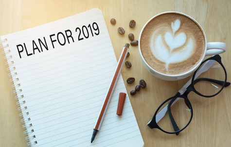Healthy financial year notebook 2019